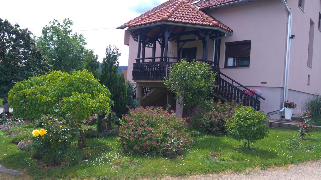 Apartments Tratincica Selište Drežničko Exterior foto