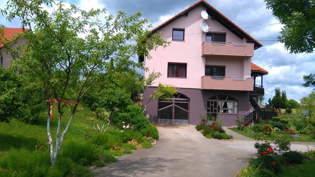Apartments Tratincica Selište Drežničko Exterior foto