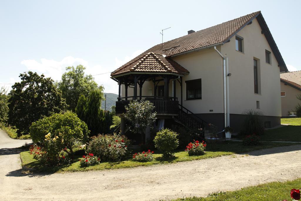 Apartments Tratincica Selište Drežničko Exterior foto